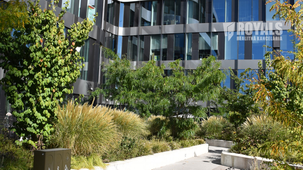 Unikátne kancelárske priestory v Starom Meste na prenájom