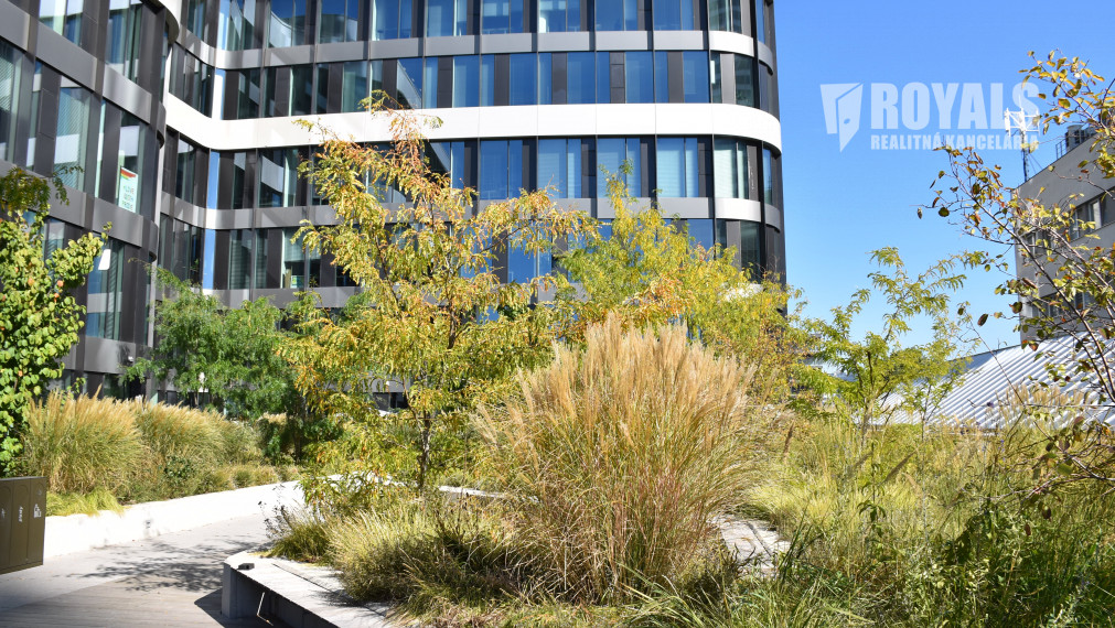 Unikátne kancelárske priestory v Starom Meste na prenájom