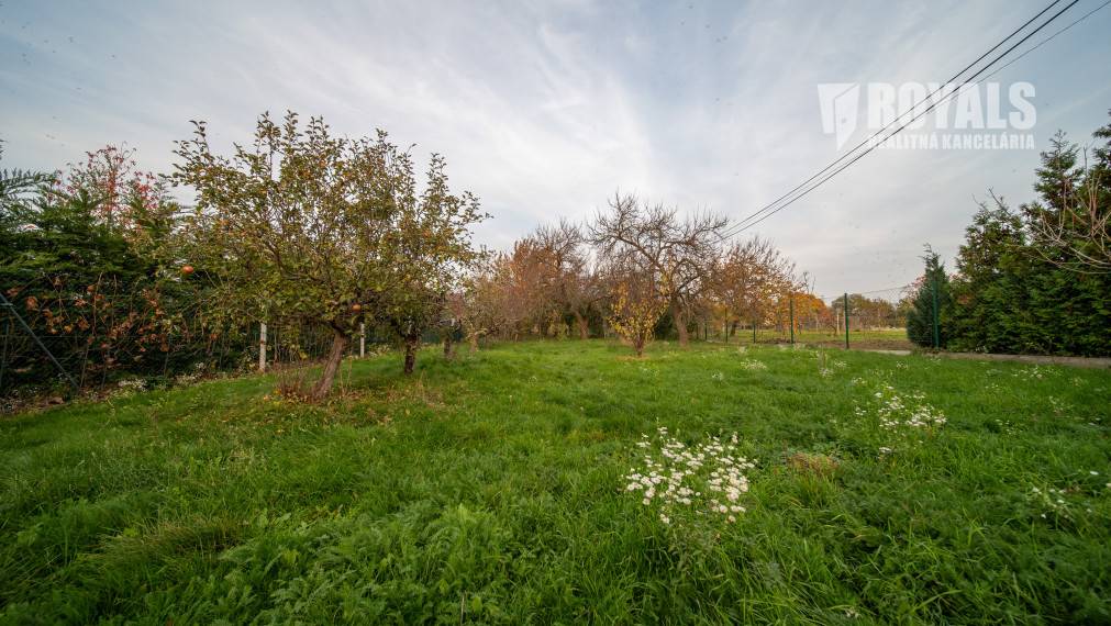 Priestranný 4-izbový dom s veľkým pozemkom a možnosťou ďalšieho využitia – Viničné (1 960 m²)