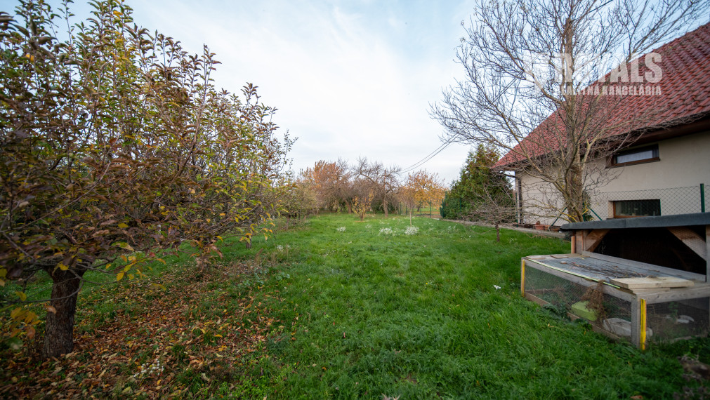 Priestranný 4-izbový dom s veľkým pozemkom a možnosťou ďalšieho využitia – Viničné (1 960 m²)
