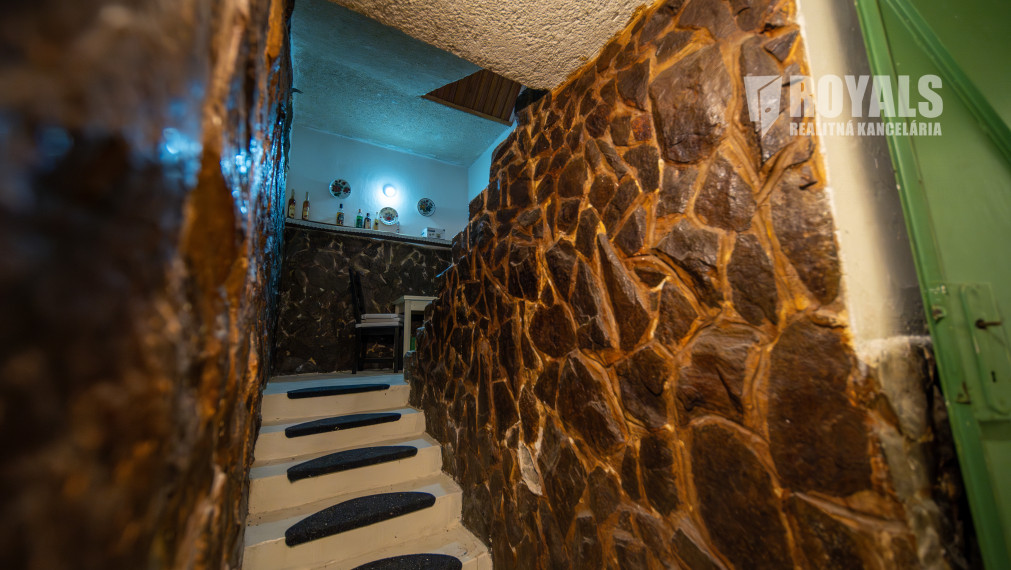 Priestranný 4-izbový dom s veľkým pozemkom a možnosťou ďalšieho využitia – Viničné (1 960 m²)