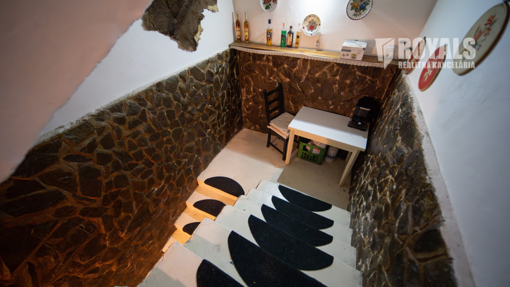 Priestranný 4-izbový dom s veľkým pozemkom a možnosťou ďalšieho využitia – Viničné (1 960 m²)