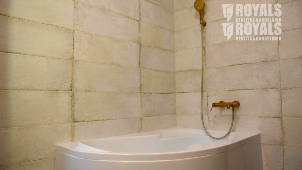 4i byt v štandarde na predaj, kompletná rekonštrukcia, Staré Mesto, Gunduličova, Bratislava