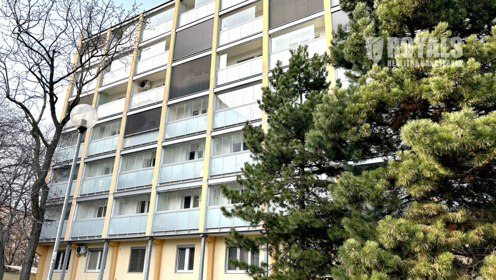 Kompletne zariadený 1,5i byt s veľkým potenciálom, loggia po celej šírke bytu, pivnica, Ružinov