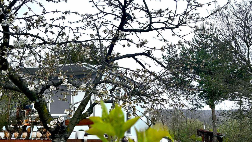 Záhrada s celoročne obývateľným zatepleným, obytným kontajnerom, voda, elektrika, prístup autom