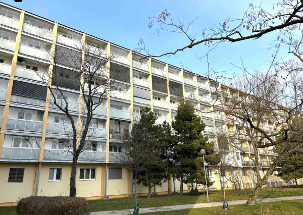 Kompletne zariadený 1,5i byt s veľkým potenciálom, loggia po celej šírke bytu, pivnica, Ružinov